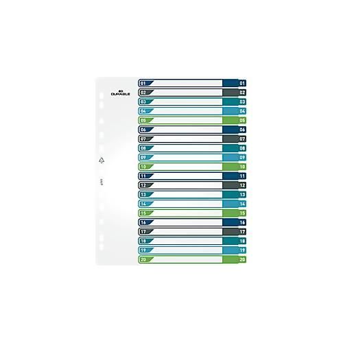 Register Durable, 20-teilig, DIN A4+, Indexblatt, EDV-beschriftbares Register, mit farbigen Taben