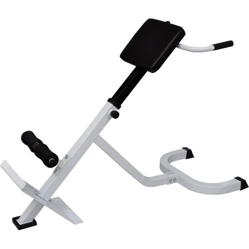 Möbel Rücken- und Bauchtrainer - Hantelbänke 90361