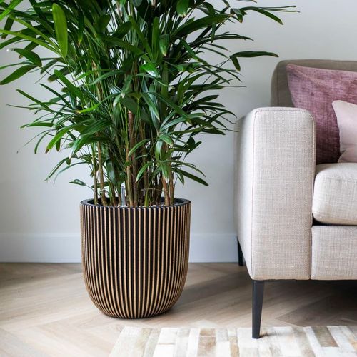 Capi Pflanzgefäß Groove 43X41 Cm | Farbe: Schwarz und Golden | Größe: Ø 43 x 41 cm