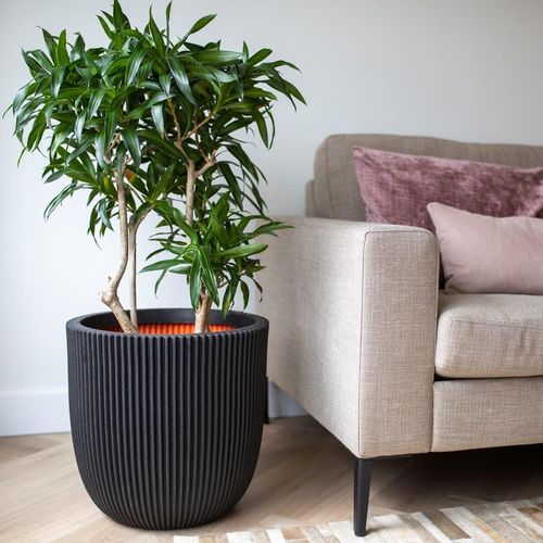 Capi Pflanzgefäß Groove 43X41 Cm | Farbe: Schwarz | Größe: Ø 43 x 41 cm