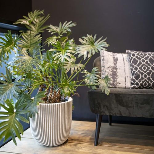 Capi Pflanzgefäß Groove 43X41 Cm | Farbe: Elfenbein | Größe: Ø 43 x 41 cm