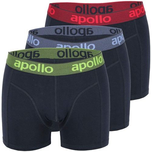 Boxer APOLLO 