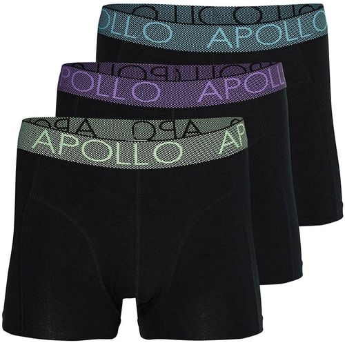 Boxer APOLLO 