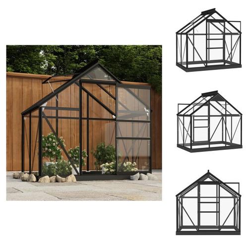 vidaXL Glas Gewächshaus Anthrazit 155x103x191 cm Aluminium - Gewächshäuser