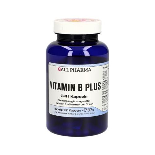 VITAMIN B PLUS GPH Kapseln 120 St