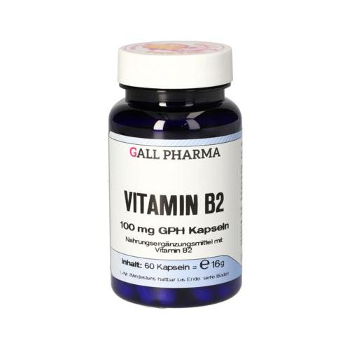 VITAMIN B2 100 mg GPH Kapseln 60 St
