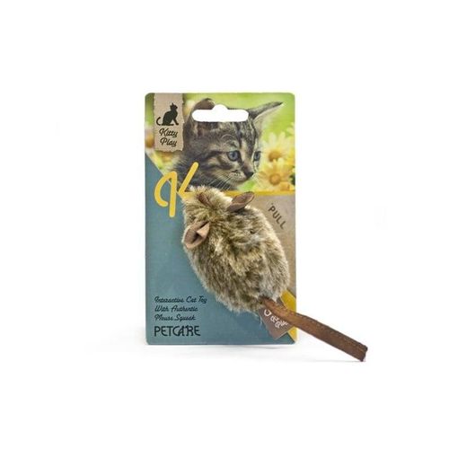 Kitty Play Squeaking Mouse