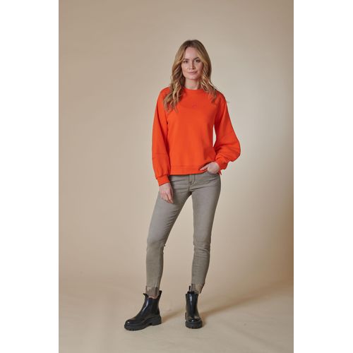 Sweatshirt ZHRILL 