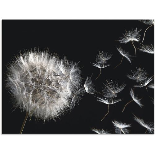 Wandbild ARTLAND 