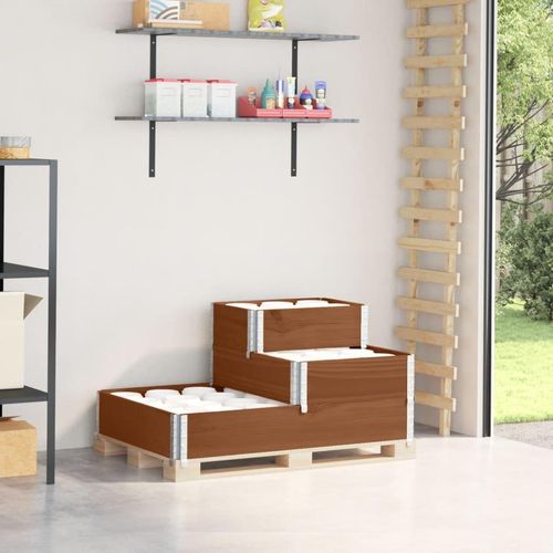 Paletten-Aufsatzrahmen 3-Fach 120X80 Cm Massivholz Kiefer | Farbe: Dunkelbraun | Größe: 120 x 80 cm (60 x 40 cm)