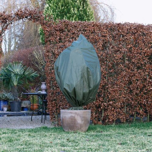 Nature Wintervlies-Frostschutzhaube 50 G/M² Grün | Größe: 100 x 50 cm