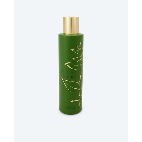 Repairing Conditioner