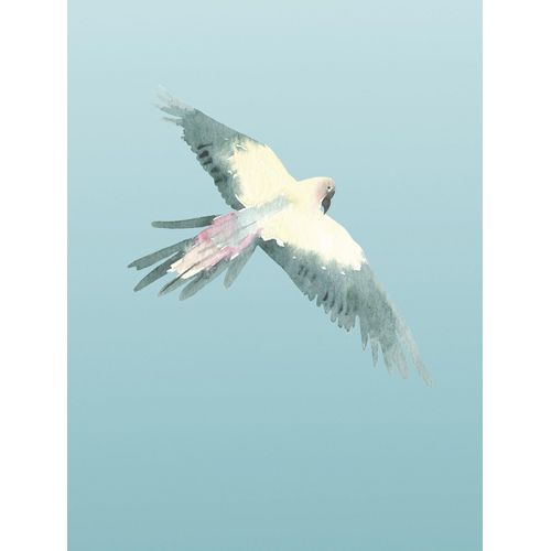 Komar Bild »Ciel«, Natur, (1 St.), Wandbild zur Dekoration - ohne Rahmen
