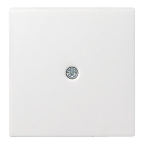 Gira Zentraleinsatz rws-gl f.Schnurableitung 027403)