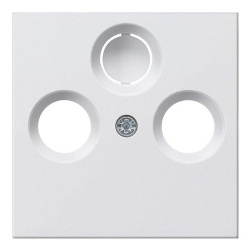 Gira Zentralplatte Antenne rws System55 086927)