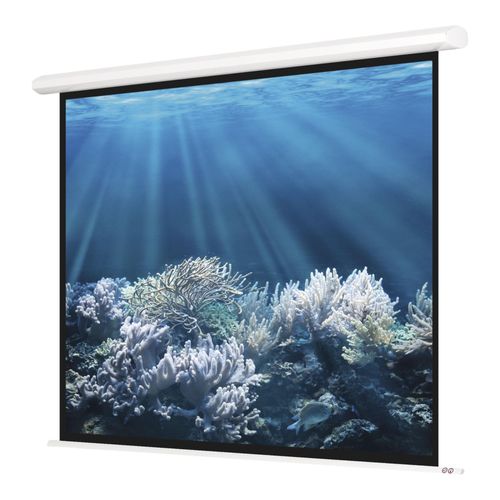 Magnetoplan Elektrische Leinwand Standard, 2400 x 2400 mm, 1:1 (6343924)