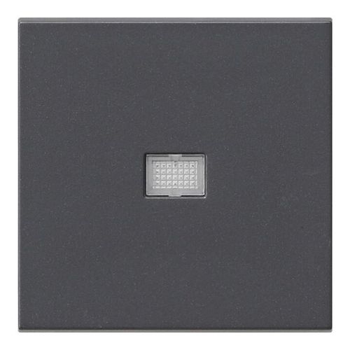 Gira Wippe anth m.Kontroll-Fenster 029828)