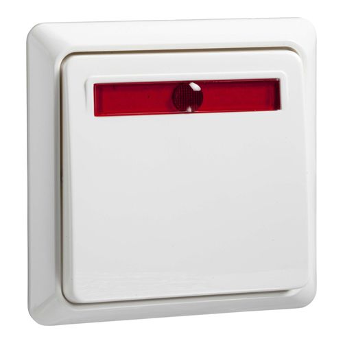 Elso Wechselschalter rw 501624 ; Schneider)