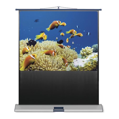 Magnetoplan Leinwand Mobil Standard, 4:3 1350 x 1800 mm (6600833)