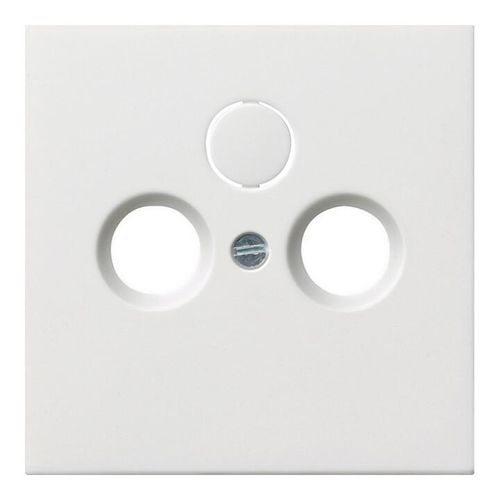 Gira Zentralplatte Antenne rws-gl 0869112)