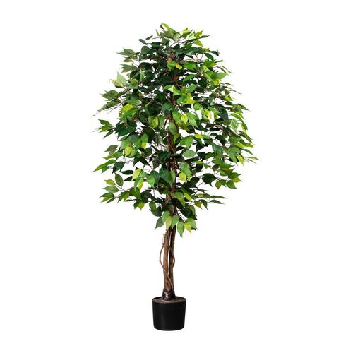 P & B Kunstpflanze , Braun, Grün, Schwarz , Kunststoff, Naturmaterialien , 150 cm , inkl. Topf, mit Naturstamm , Dekoration, Blumen & Zubehör,