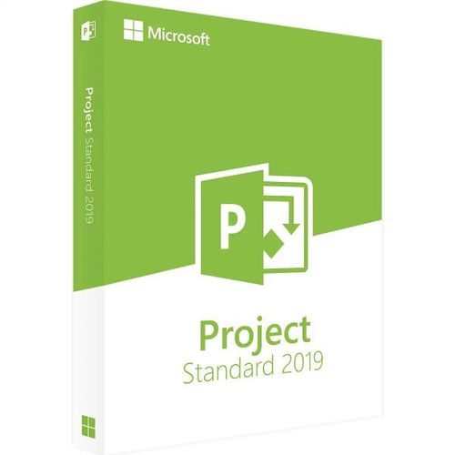 Microsoft Project 2019 Standard Windows