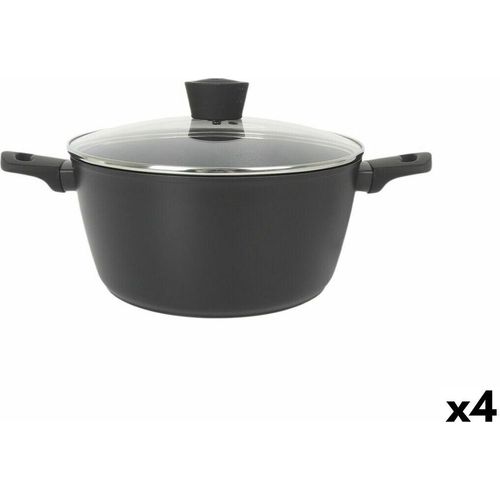 Topf mit Deckel MasterChef 28 cm (4 Stück)