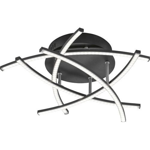 FISCHER & HONSEL LED Deckenleuchte 