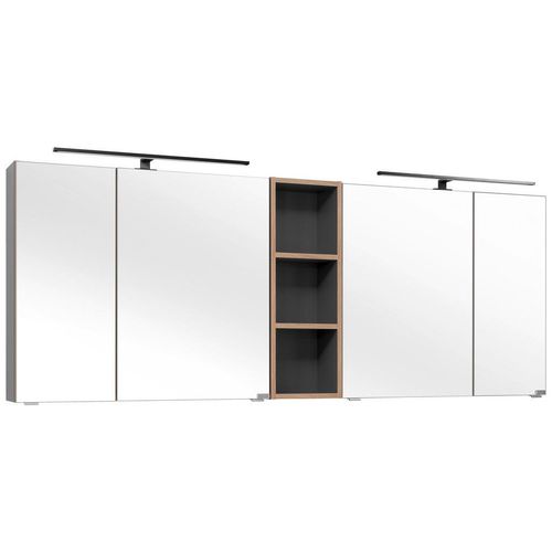 Dieter Knoll Spiegelschrank Treviso , Grau , Holzwerkstoff , 8 Fächer , 185x70.3x17.3 cm , Made in Germany , Soft-Close-System , Badezimmer,