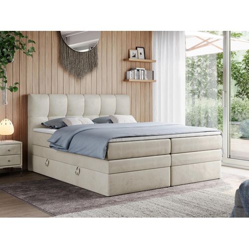 Boxspringbett mit Doppelmatratze - ALVIN-KING - 160 x 200 cm - Beige - H4