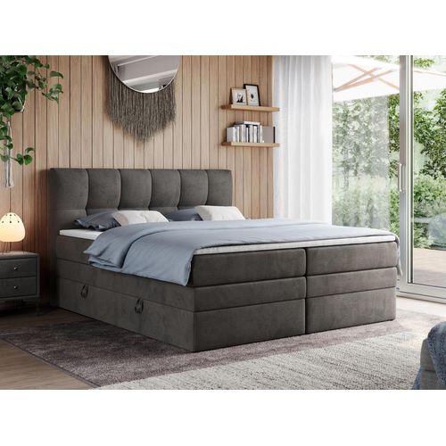 Boxspringbett mit Doppelmatratze - ALVIN-KING - 200 x 200 cm - Dunkelgrau - H4
