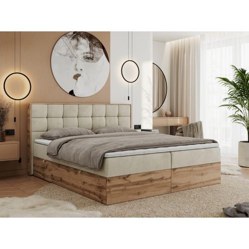 MKS MEBLE Boxspringbett 120x200 mit Bettkasten Eiche, Polsterbett 120x200 mit Matratze H3, Bett 120x200 mit Kopfteil, Eiche Wotan - 120x200 - Beige Velvet - Albero-1