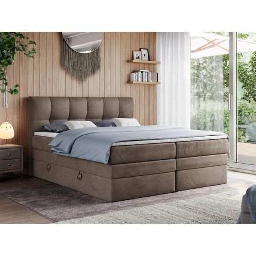Boxspringbett mit Doppelmatratze - ALVIN-KING - 200 x 200 cm - Braun - H4