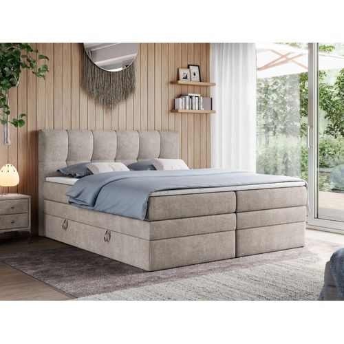 Boxspringbett mit Doppelmatratze - ALVIN-KING - 160 x 200 cm - Beige - H4