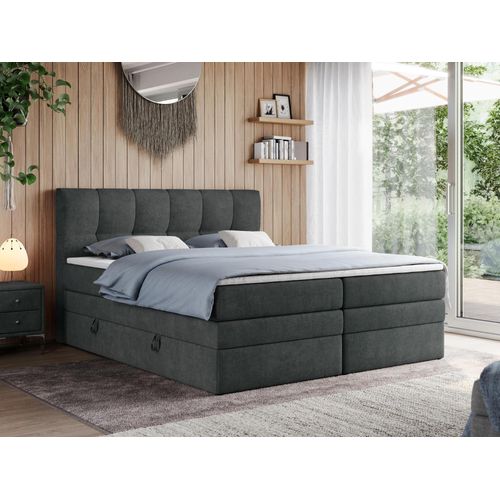 Boxspringbett mit Doppelmatratze - ALVIN-KING - 160 x 200 cm - Dunkelgrau - H4