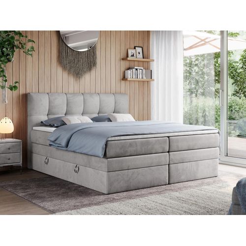 Boxspringbett mit Doppelmatratze - ALVIN-KING - 200 x 200 cm - Hellgrau - H4