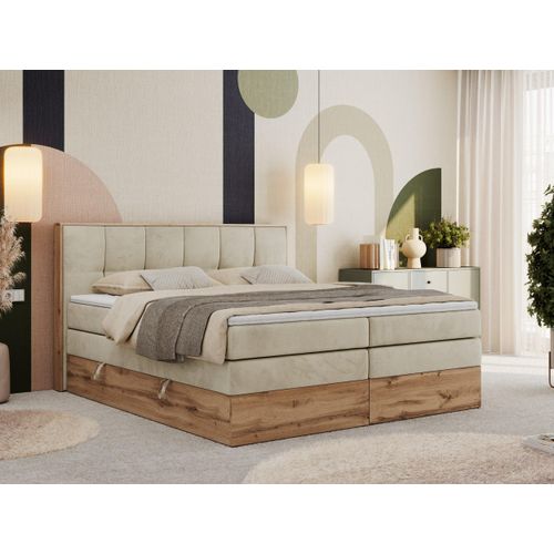 MKS MEBLE Boxspringbett, Doppelbett mit zwei Multipocket-Matratzen ALBERO 1 KING, Bettkästen und Kopfteil, Holzkiste in Wotan-Eichenfarbe - 160x200 cm - H4 - Beige Velvet