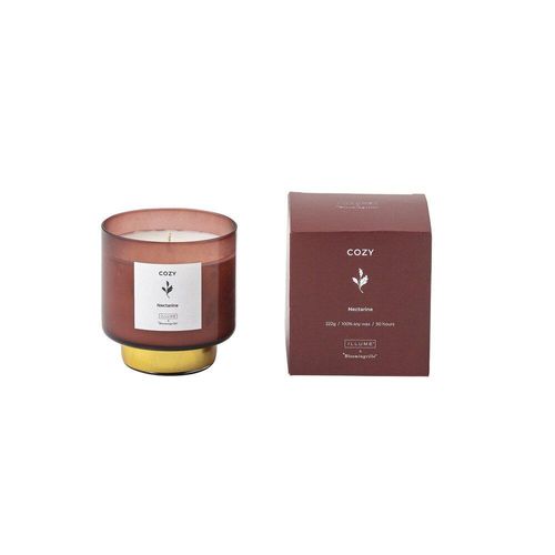 Illume Duftkerze mit goldenem Fuß, Cozy Nectarine