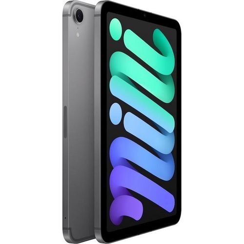 Apple iPad mini/(2024) Wi-Fi Cellular/8,3