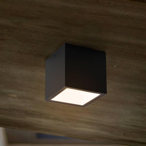 LED-Außendeckenleuchte Gemini XS, 4.000K anthrazit