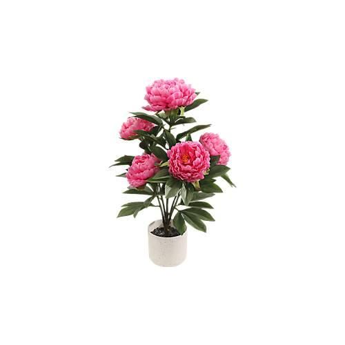 Kunstpflanze meet® by Paperflow Pfingstrose, inkl. Kunststoff-Topf, H 550 mm, Polyester/PE