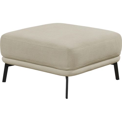 Hocker 