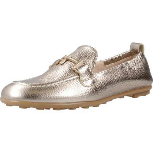 Hispanitas Bombay HV254027 (40/cava)