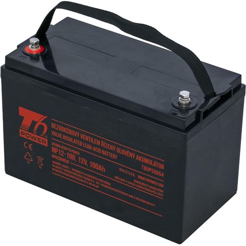 Batterie T6 Power NP12-100, 12V, 100Ah