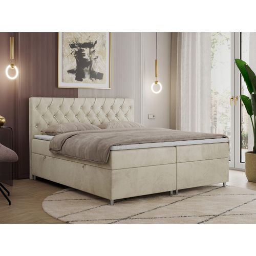 Boxspringbett 120x200 mit Bettkasten, Boxspringbett 120x200 mit Matratze, Doppelbett mit Matratze und Topper - Polsterbett mit Kopfteil - ROMA - 120x200 - Beige - Velvet - H4