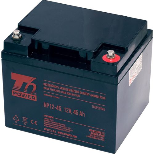 Batterie T6 Power NP12-45, 12V, 45Ah