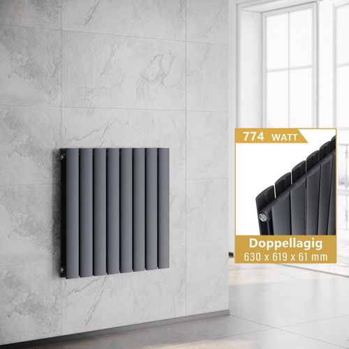 SONNI Horizontal Heizkörper Paneelheizkörper Doppellagig Anthrazit 630×619mm