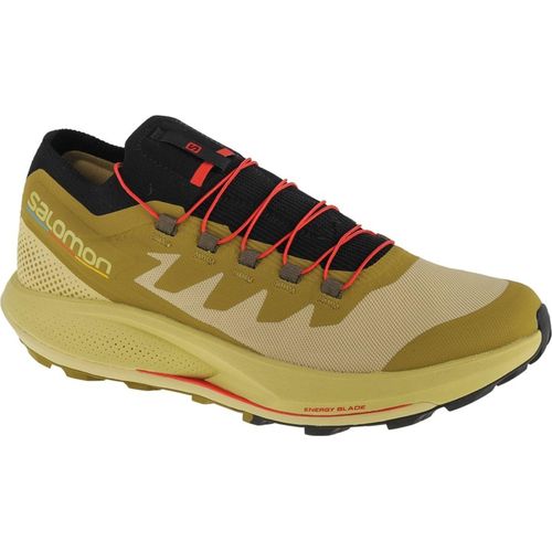 Salomon Schuhe Pulsar Trailpro, 415936