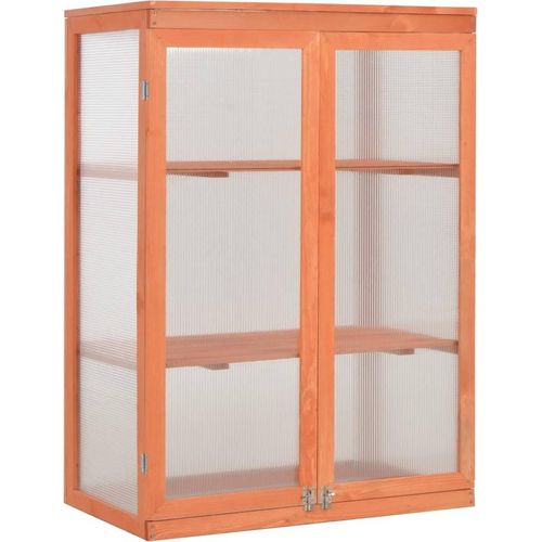 Gewächshaus-Schrank Holz 75x47x109 cm