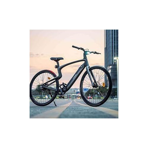 2024 Smartes Carbon E-Bike ,City E-Bikes & E-Hollandräder ,Gr. L 35Nm Blinker ,Anti Diebstahl ,Navi ,App, Sprachsteuerung